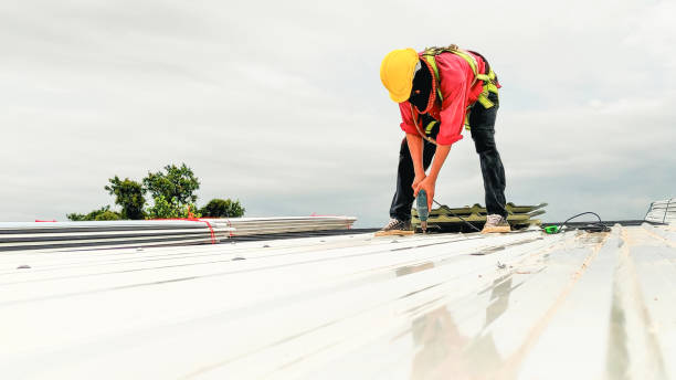 Best Emergency Roof Repair Services  in Hamilton, MO