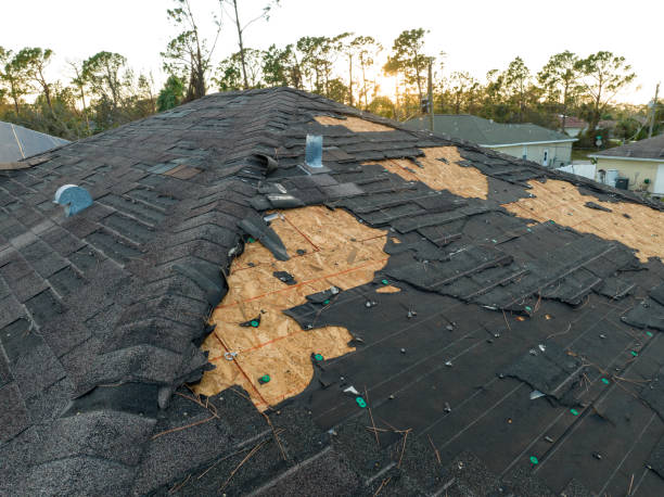 Best Hot Roofs  in Hamilton, MO